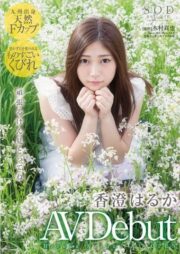 AVOP-126 บรรยายไทย