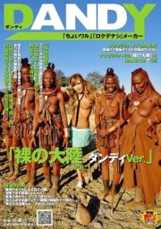 DANDY-155