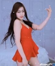 KBJ-23062441