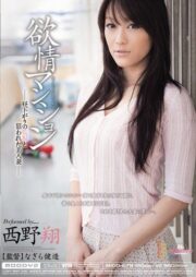 MIDD-678 บรรยายไทย