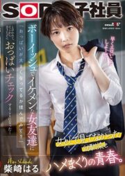 SDJS-232 มิตรภาพจางหายแอบไปจัดเพื่อน บรรยายไทย