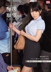 SNIS-441 บรรยายไทย