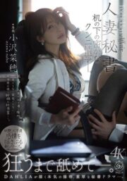 DLDSS-518
